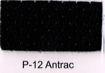 P-12 ANTRAC