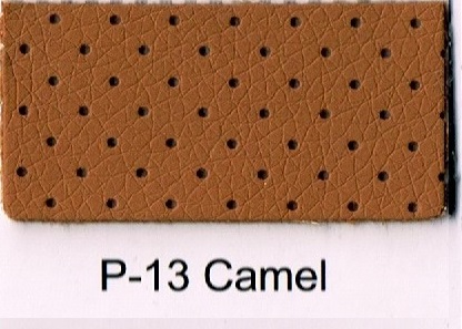 P-13 CAMEL
