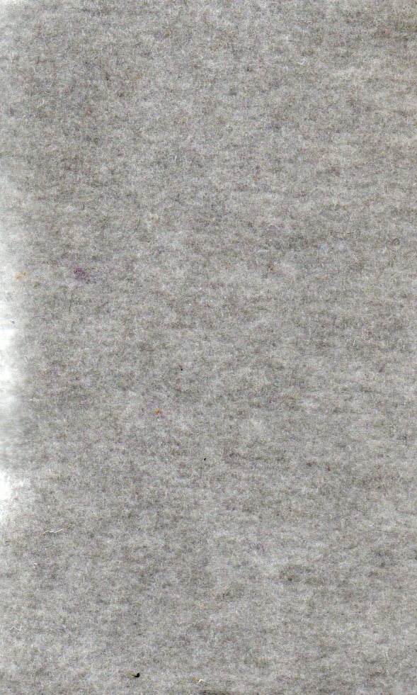 5 GRIS PERLA