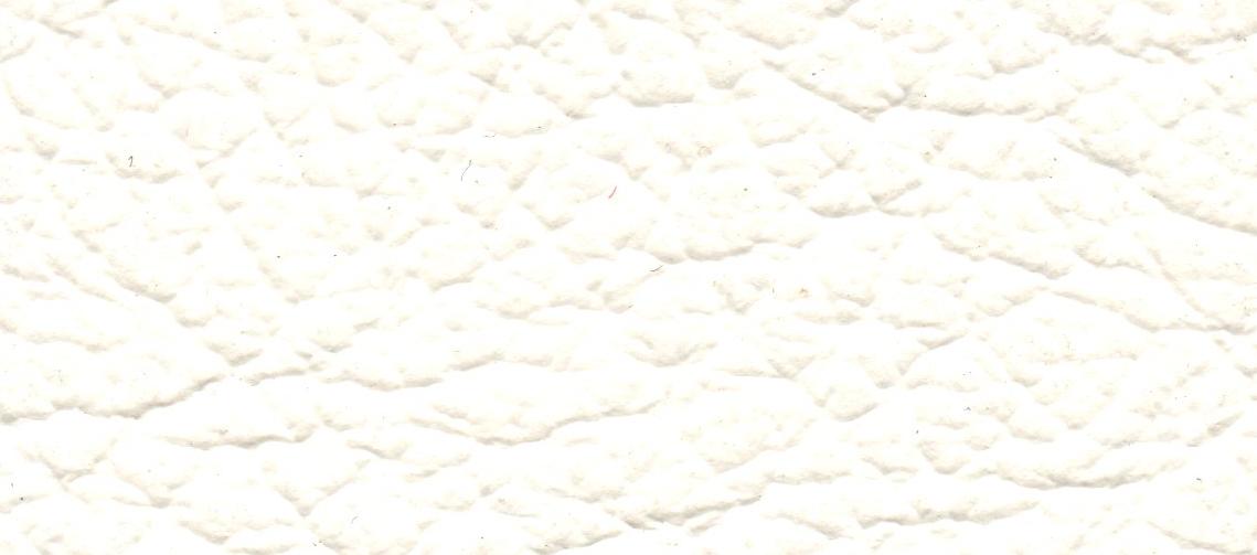 33 BLANCO