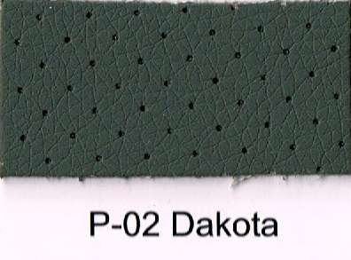 P-02 DAKOTA