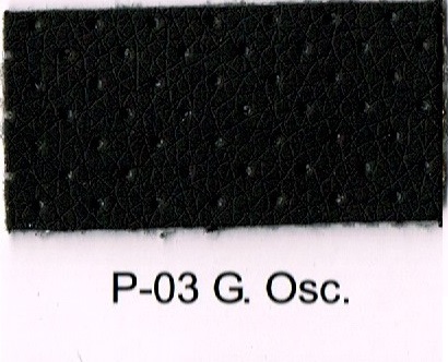 P-03 G