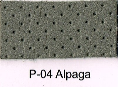 P-04 ALPACA
