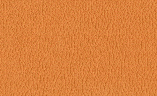 PIEL CUIR 104