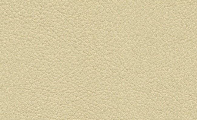 PIEL CUIR 107