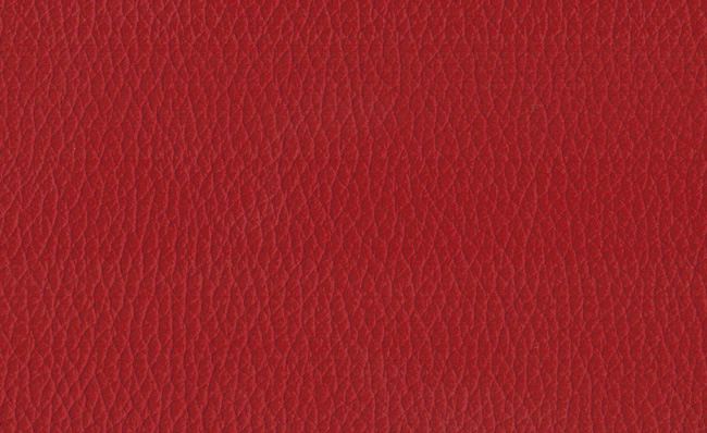 PIEL CUIR 111