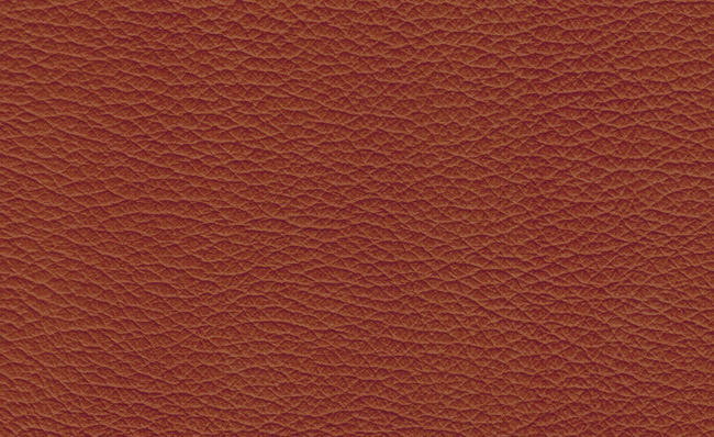 PIEL CUIR 117