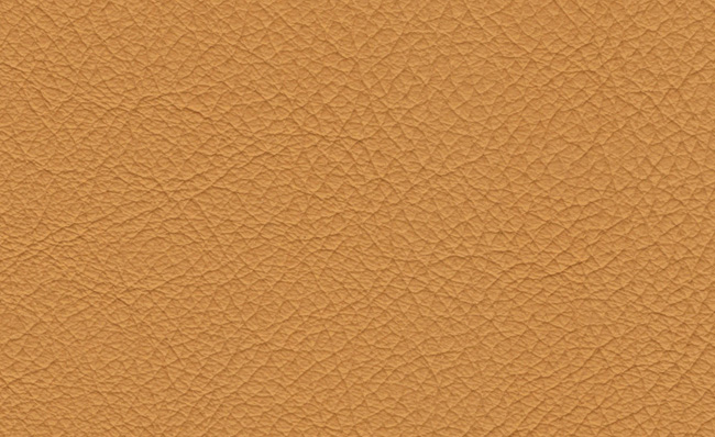 PIEL CUIR 122
