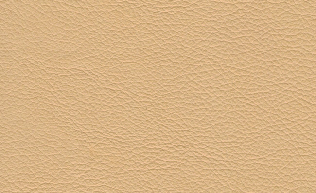 PIEL CUIR 124