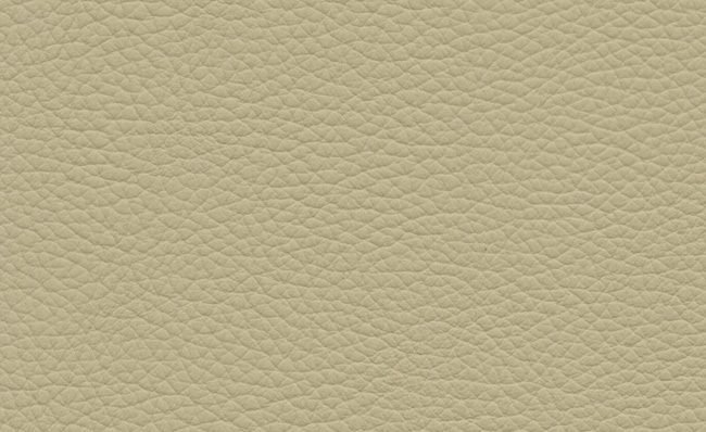 PIEL CUIR 126