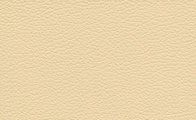 PIEL CUIR 138