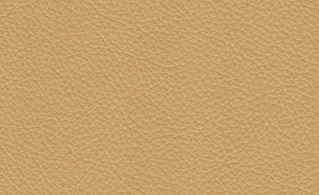 PIEL CUIR 139