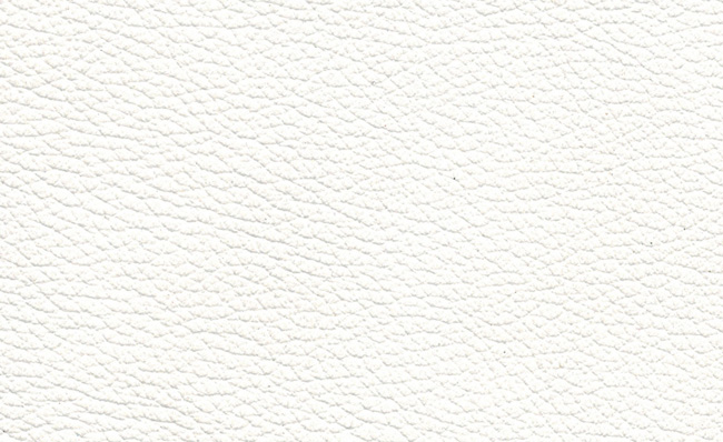 PIEL CUIR 179