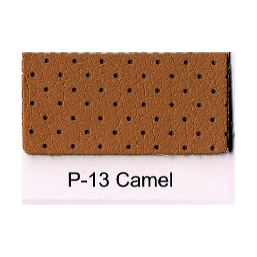 P-13 CAMEL